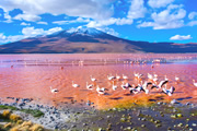 アタカマ砂漠とウユニ塩湖　チリ・ボリビア絶景スペシャル