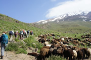 イラン最高峰ダマバンド山(5,671m)登頂